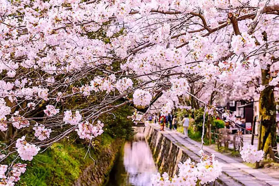 14 AMAZING DAY TRIPS TO TAKE FROM TOKYO